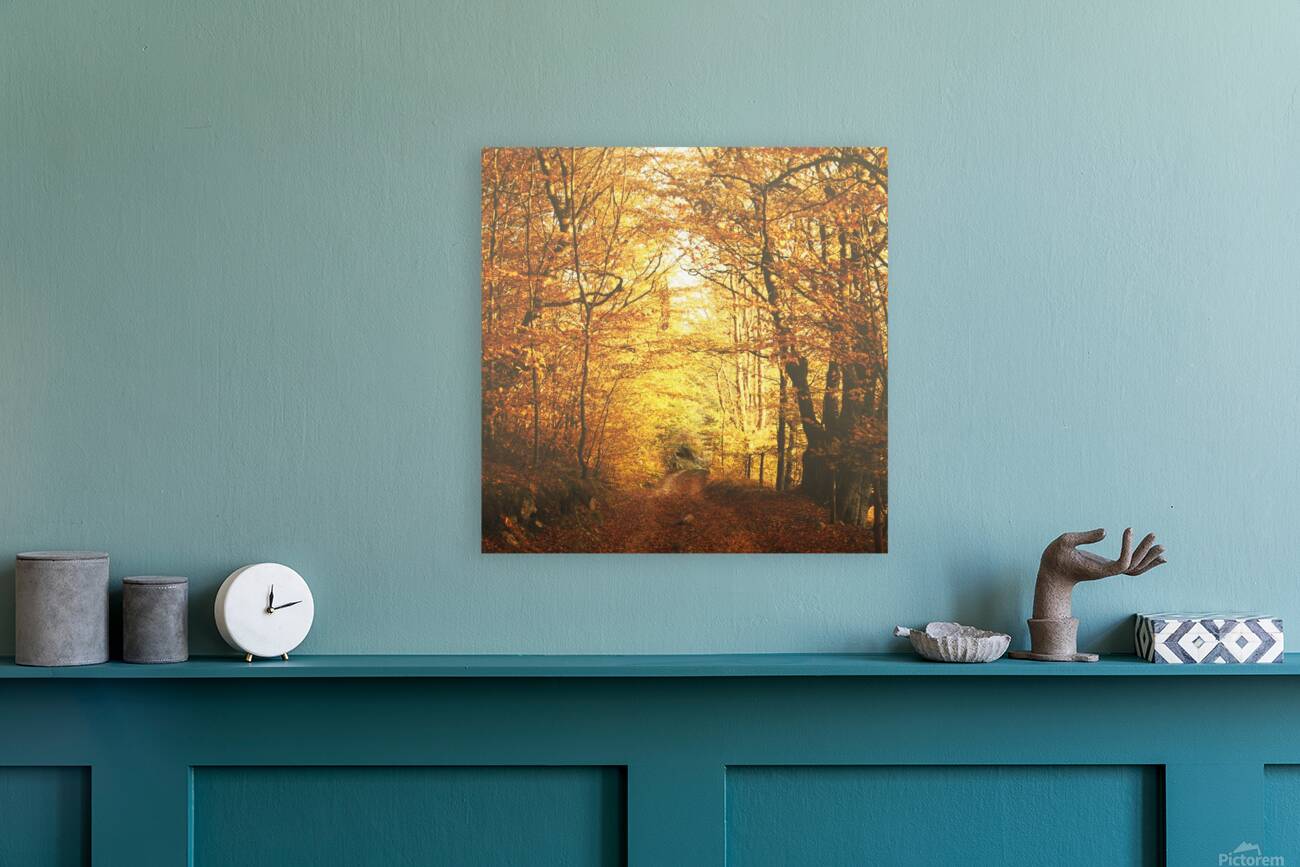 Autumn road Reproduction
