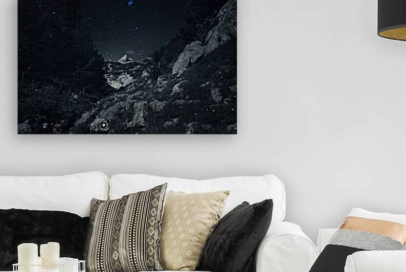 Lost in dreams  Reproduction