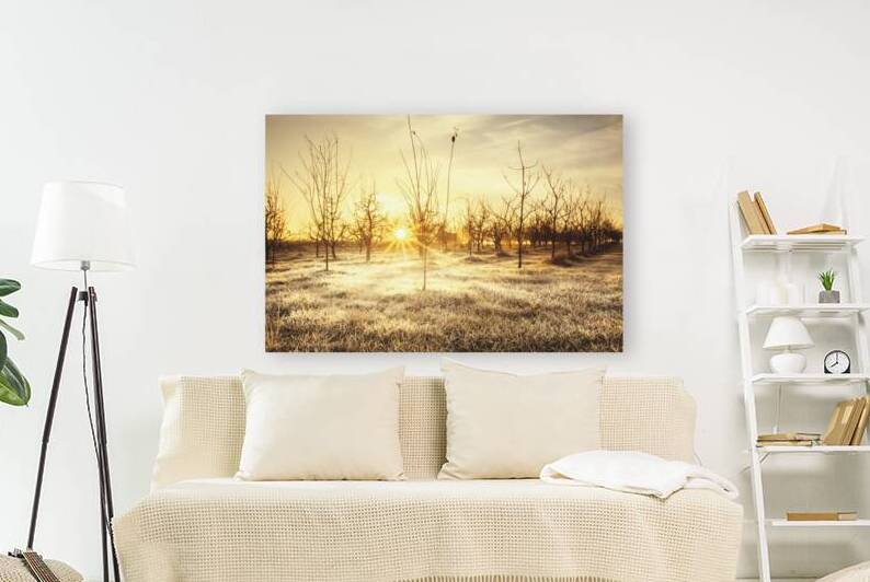 Morning orchard  Reproduction