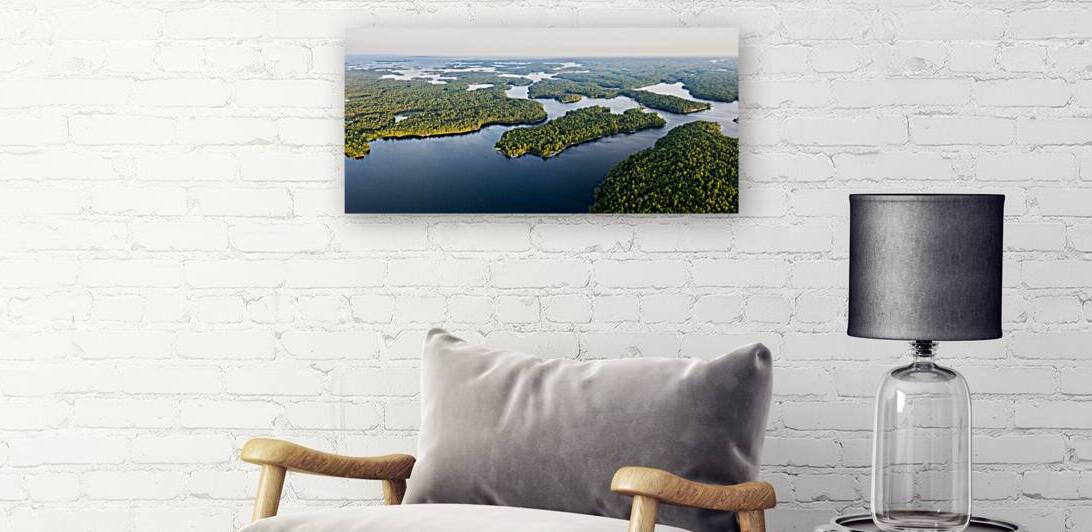 Untamed wild  by Marko Radovanovic
