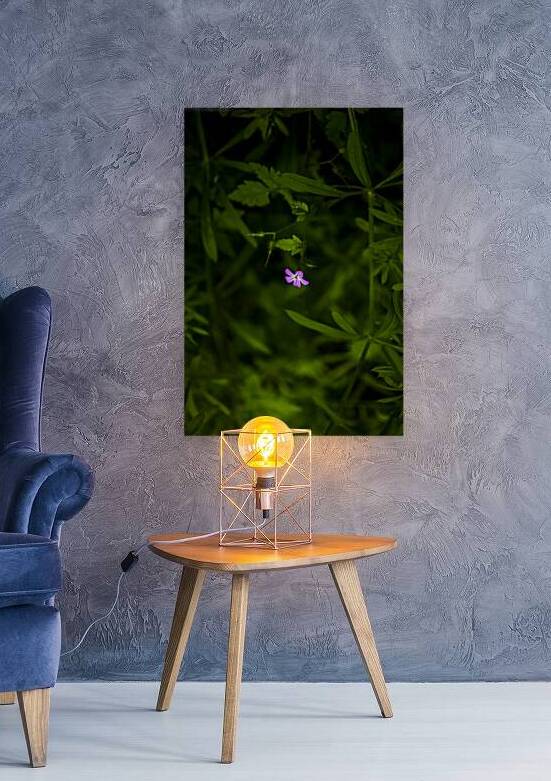 Under great big Sun by Marko Radovanovic