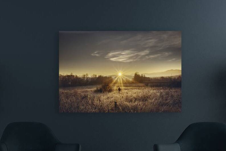Zen morning by Marko Radovanovic