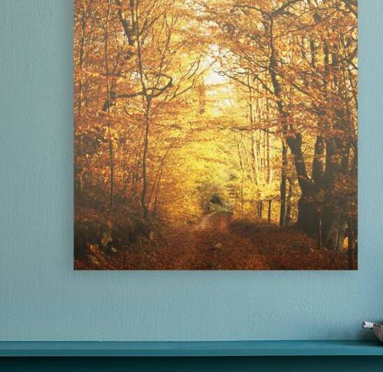 Autumn road by Marko Radovanovic