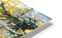 Lost in yellow HD Metal print