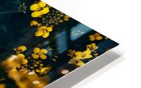 Spring buzz Impression metal HD