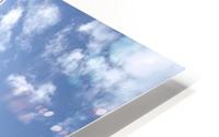 Unconventional spring  HD Metal print