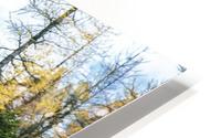 Alpine pursuit HD Metal print