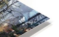 Forest and the trail HD Metal print