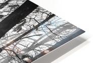 Rippin morning HD Metal print