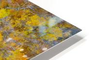  Colorful world HD Metal print