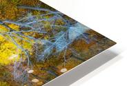 Fallen  HD Metal print