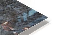 Forest life  HD Metal print