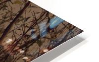 One more thorn  HD Metal print