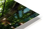 Pure oxygen  HD Metal print