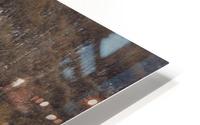 Why HD Metal print