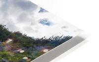 Lonely track HD Metal print