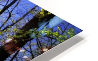 Idyllic ride HD Metal print
