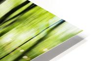 Sliding green  HD Metal print