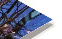 Winter sun HD Metal print