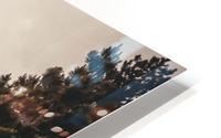Rest HD Metal print