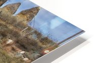 Man against beast  HD Metal print