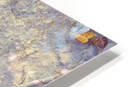Camouflage  HD Metal print