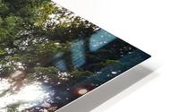 Forest warrior  Impression metal HD
