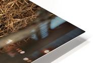 In a Dragons Nest HD Metal print