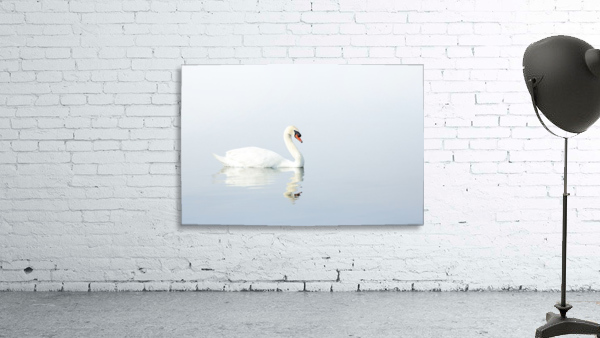 Elegance Wall Preview