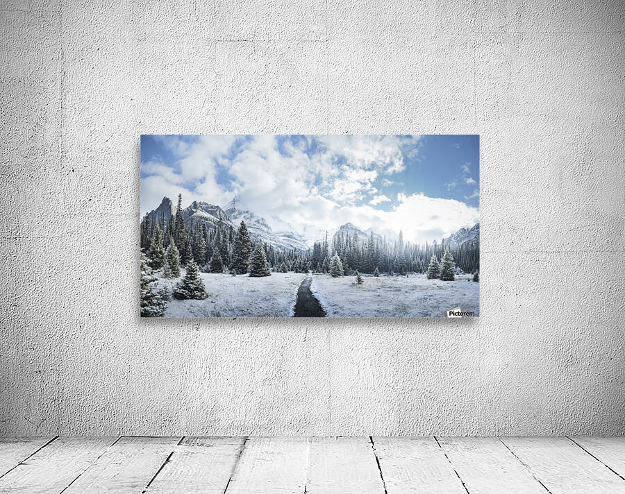 Mountain World Wall Preview