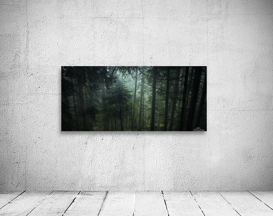 Misty green  Wall Preview