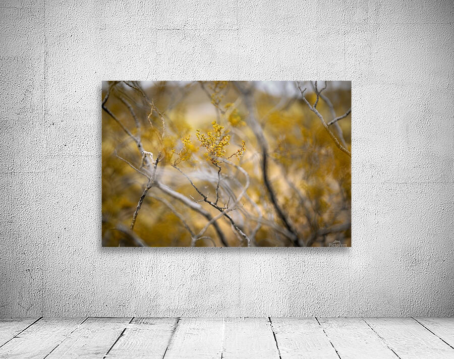 Desert rose Wall Preview