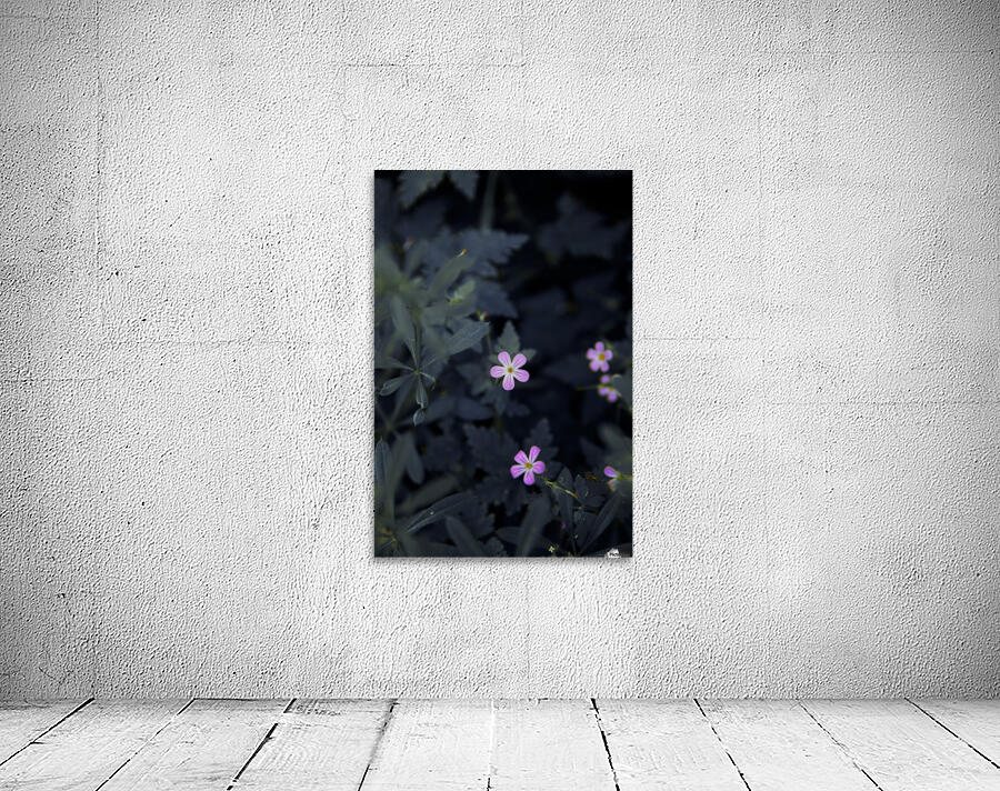Under Moon light Wall Preview