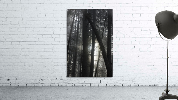 Forest ecosystem  Wall Preview