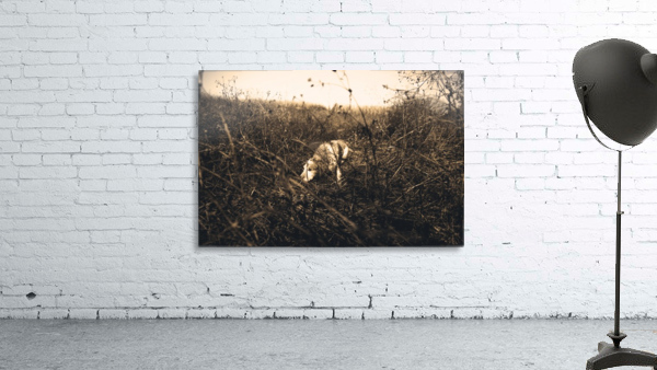 Sniffer  Wall Preview