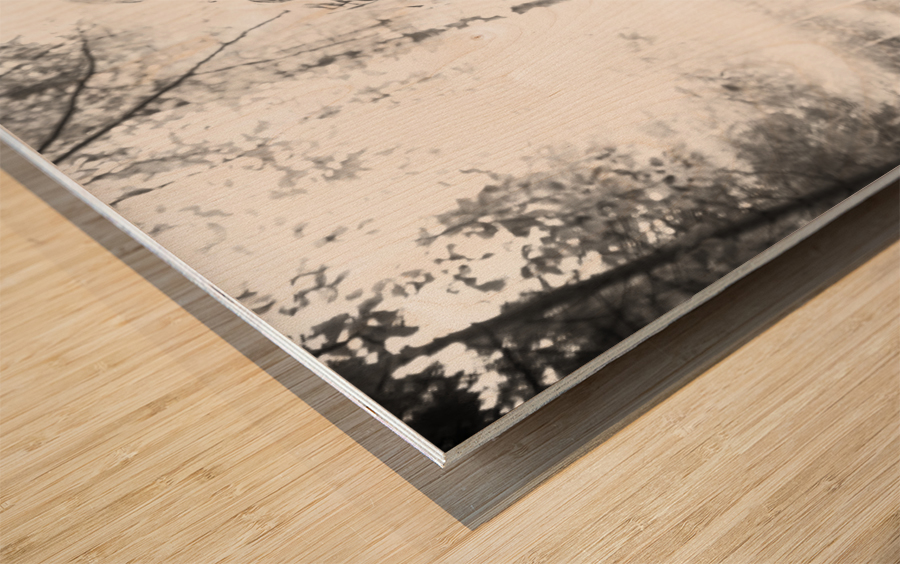 Speach  Wood print