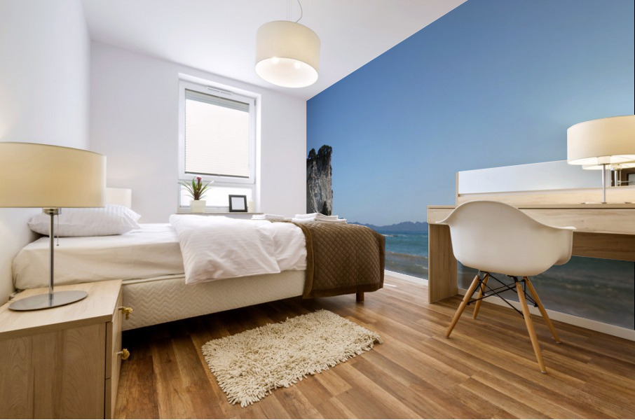 Coromandel Beach Mural print