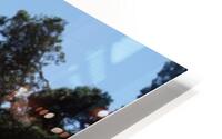 Coromandel Beach HD Metal print