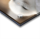 White Flora Fauna and Fabric Dream of Matisse 25 Acrylic print