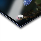 Blue Flower Acrylic print