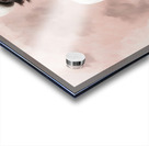 Pastel Pink  Acrylic print