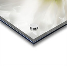 Twisted Florals  1 of 3 Acrylic print