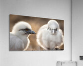 White Flora Fauna and Fabric Dream of Matisse 25 Acrylic Print