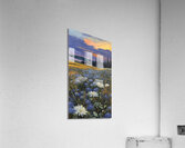 Shades of twilight soft and pale 14 Acrylic Print