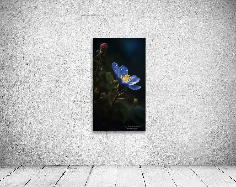 Blue Flower Wall Preview