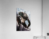 titan Acrylic Print