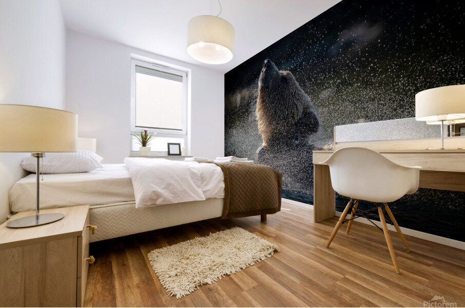 Spin cycle - Essorage Mural print