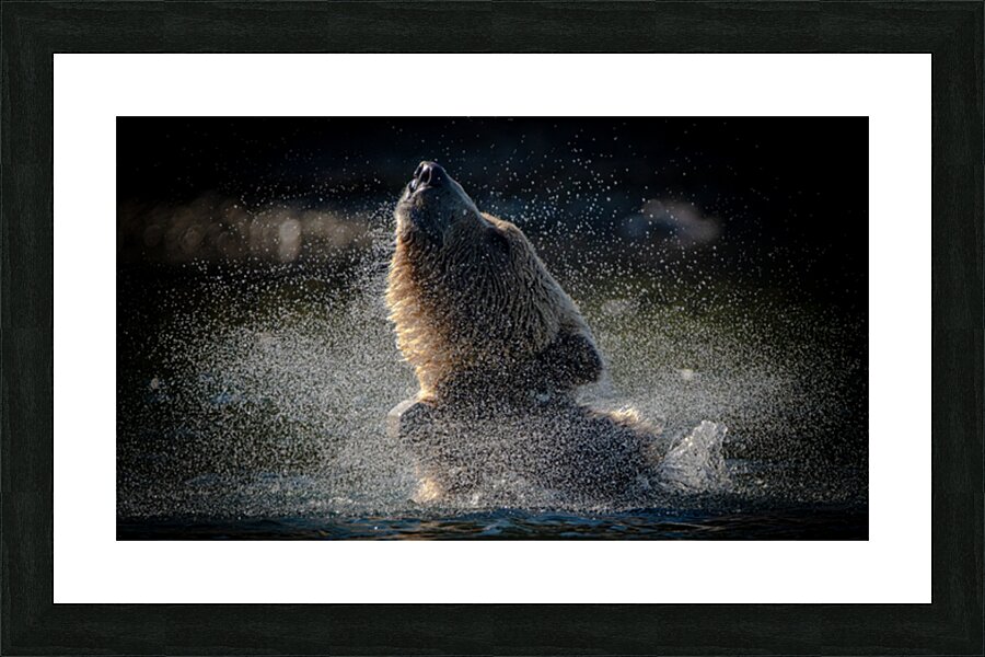Spin cycle - Essorage Picture Frame print