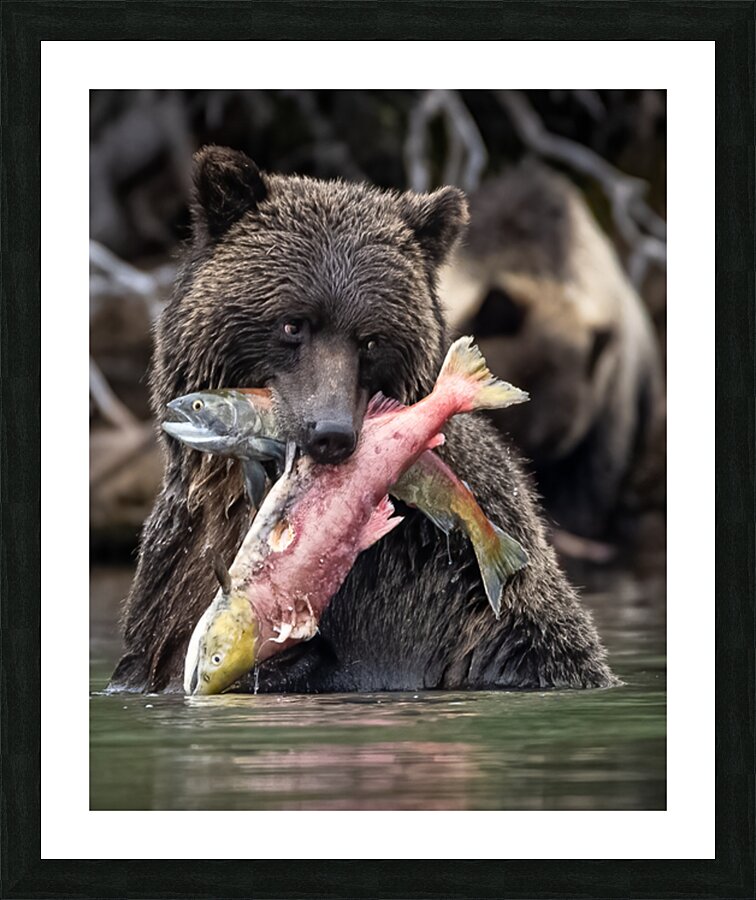 Double catch - Double succes Picture Frame print