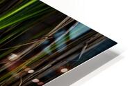 Straight up reflection HD Metal print